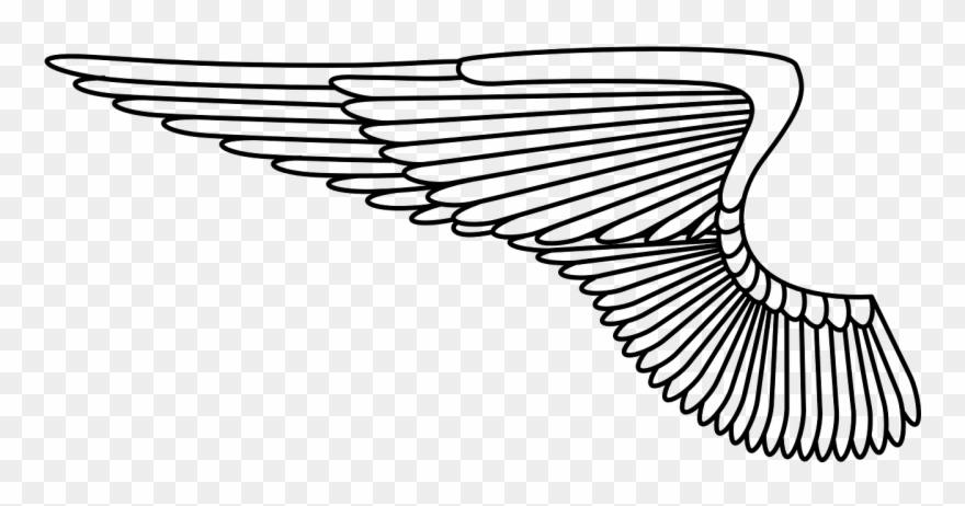 880x462 Free Vector Graphic