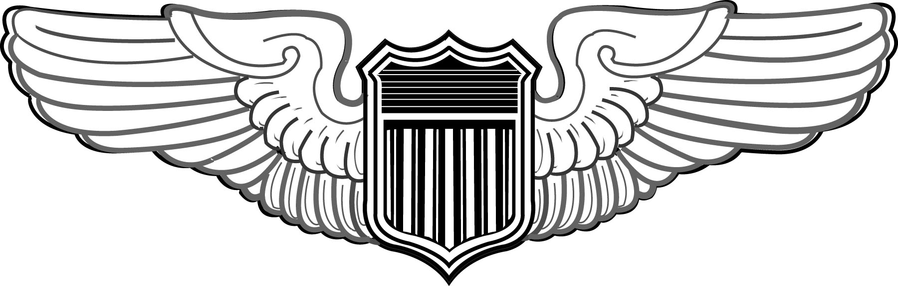 1800x575 Pilot Badge