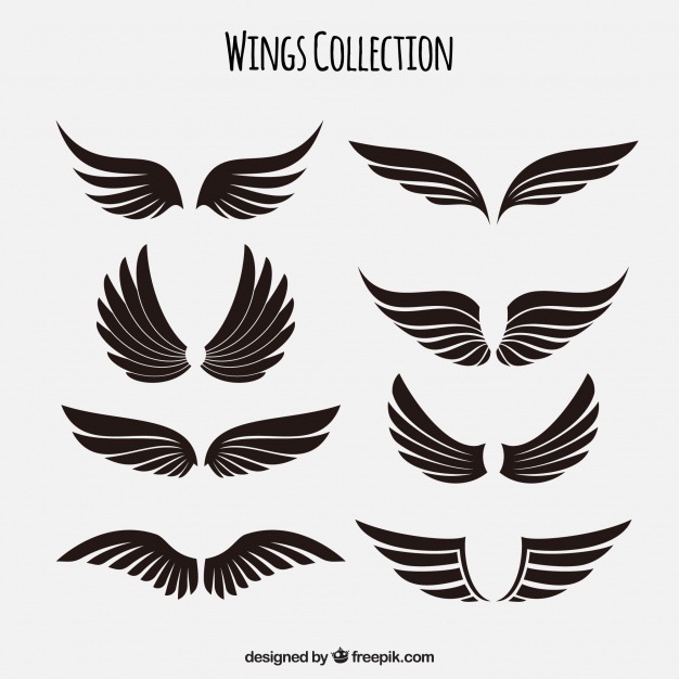 626x626 Wings Vectors, Photos And Free Download