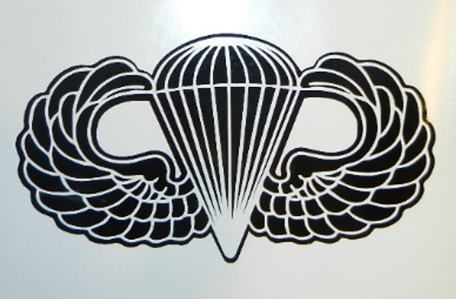 654x429 Airborne Wings