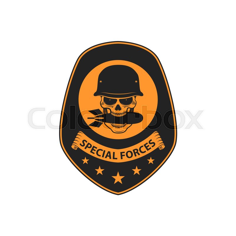800x800 Paratrooper Skull With Wings Military Stock Vector Colourbox