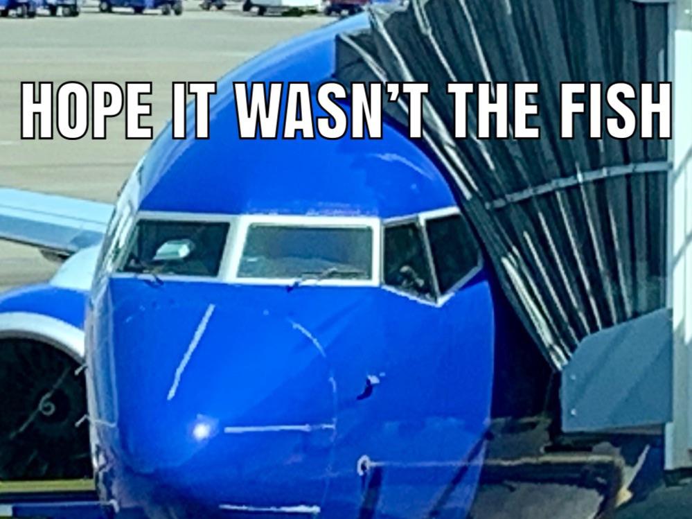 999x749 What's Your Vector Victor Funny