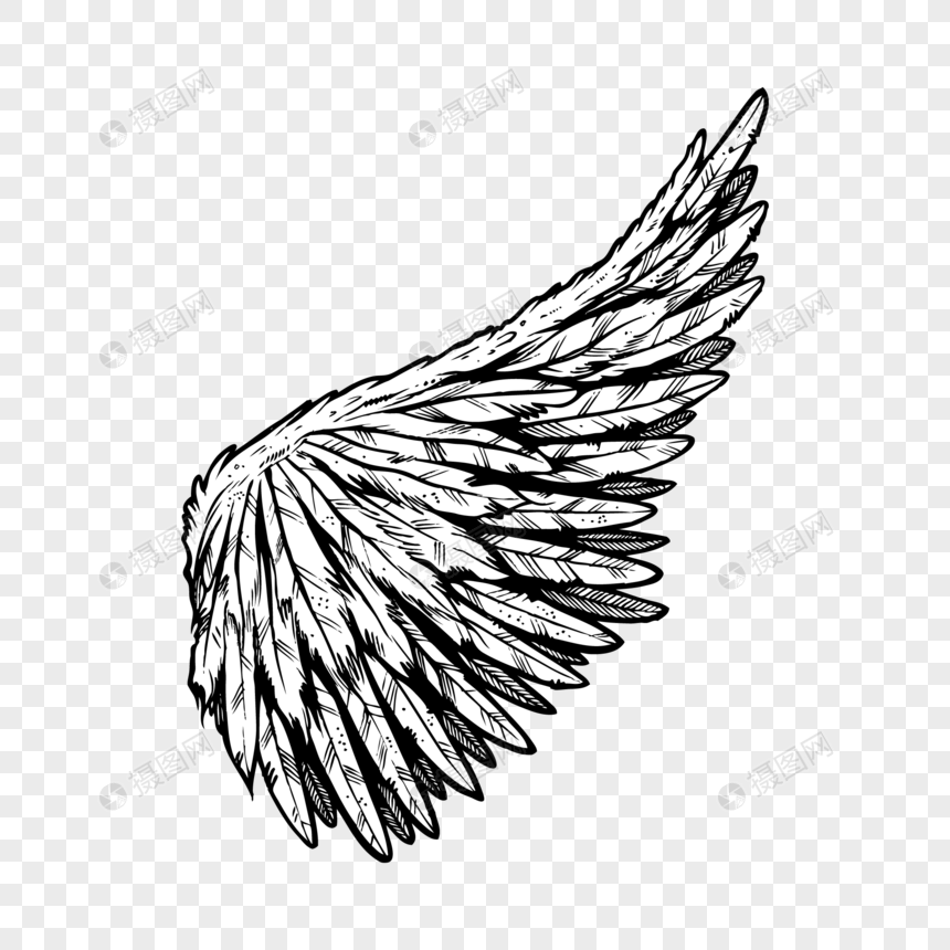 860x860 Alas Vector Imagen Descargar Prf Imagen