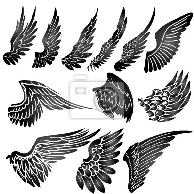 400x400 Alas Vector De La Silueta Pinturas Para La Pared Cuadros