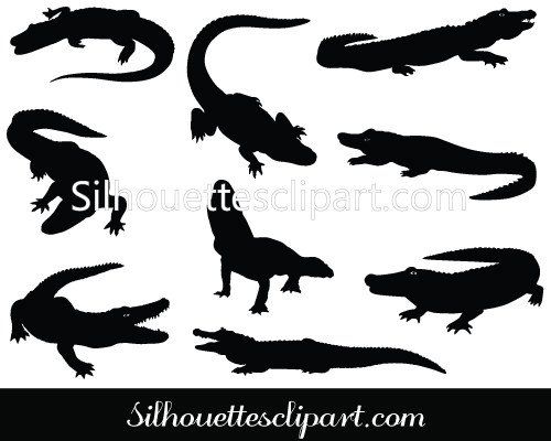 Alligator Silhouette Vector