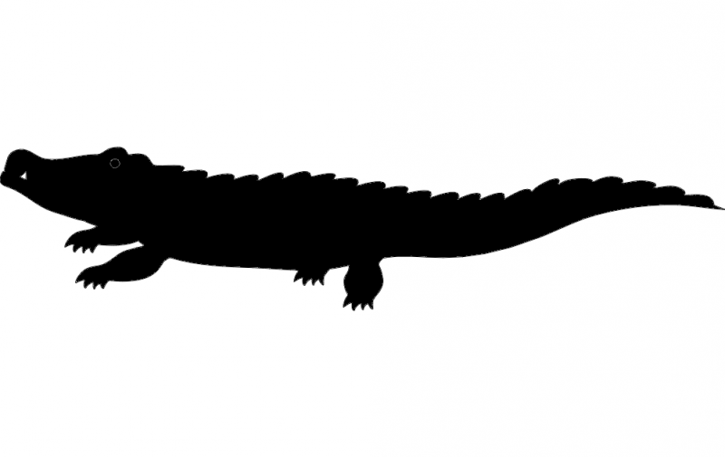 800x505 Crocodile Silhouette Vector Graphic Design Vector