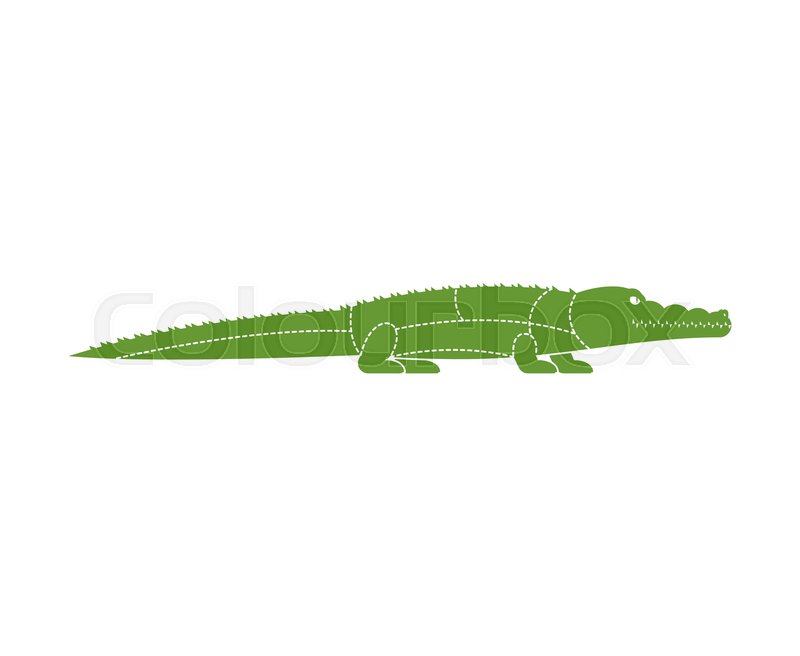 800x656 Cut Of Meat Crocodile Alligator Stock Vector Colourbox