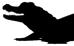 300x189 Crocodile Head Silhouette Vector Graphic Silhouette