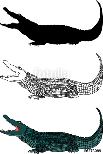 334x500 Crocodile Vector Stock Image And Royalty Free Vector