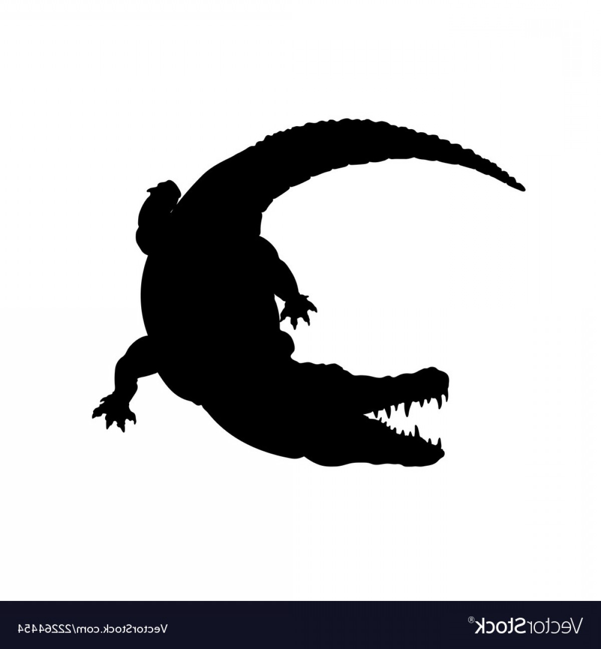 1200x1296 Alligator Vector Black Catamart