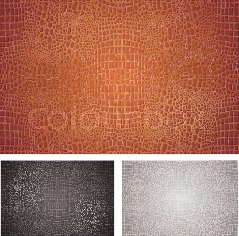 800x790 Crocodile Leather Textures Set Stock Vector Colourbox