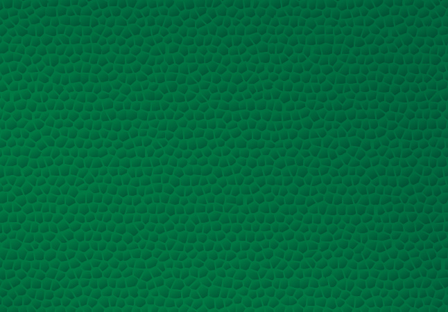 646x451 Reptile Skin Vector Vector Art Graphics