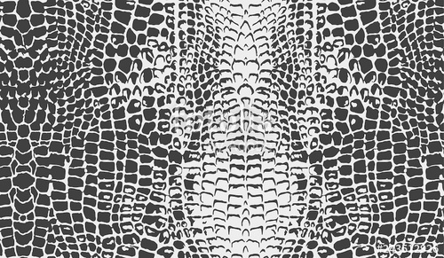 Alligator Skin Vector at Vectorified.com | Collection of Alligator Skin ...