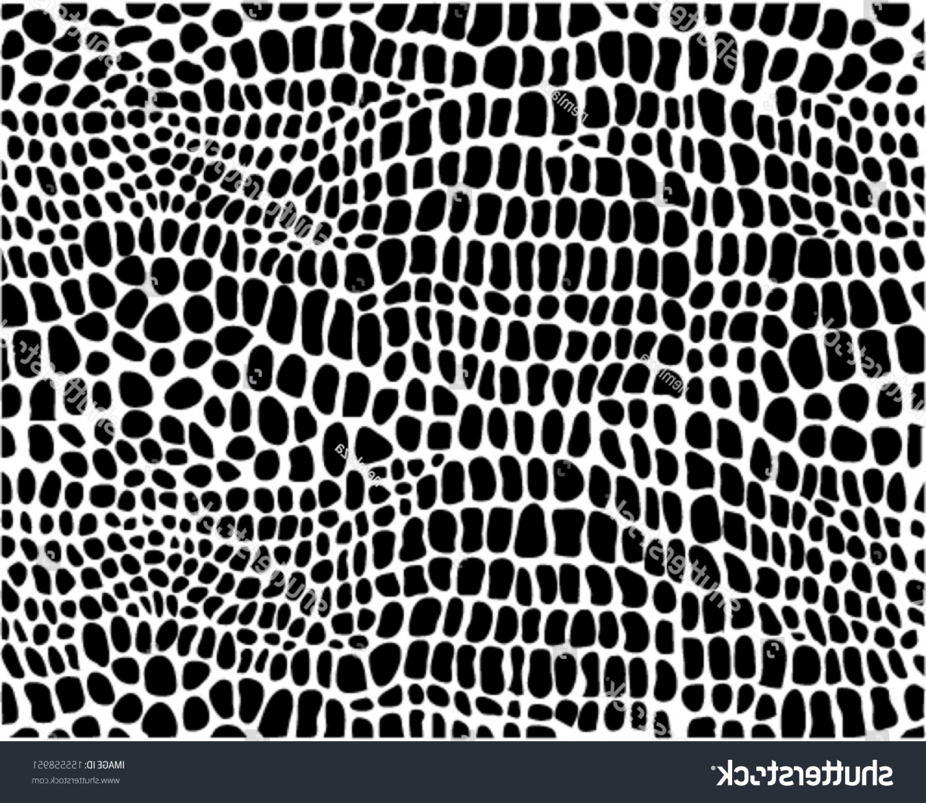 1800x1560 Shutterstock Vector Illustration Of Alligator Skin Lamaison