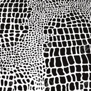 300x300 Stock Photo Reptile Crocodile Skin Image Createmepink
