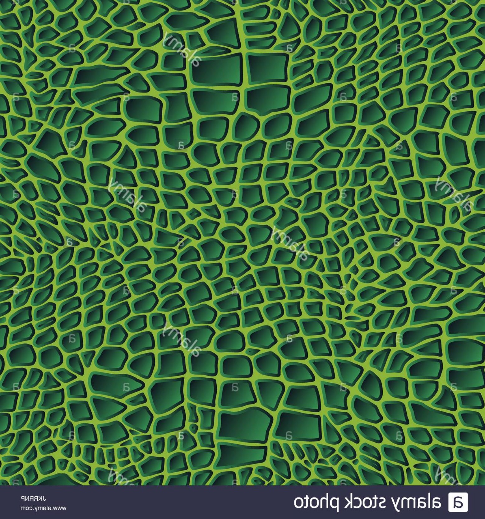 1560x1668 Wallpaper Vector The Crocidile Geekchicpro