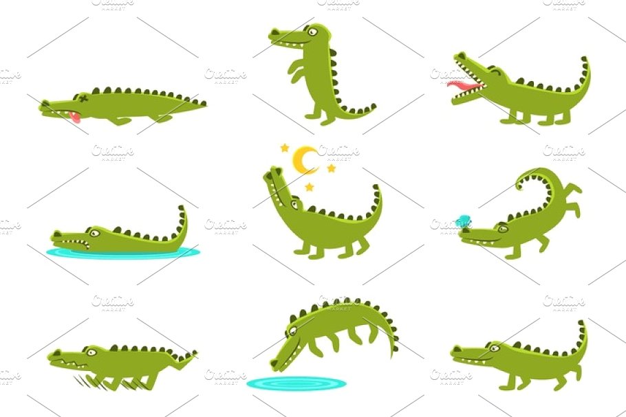 Alligator Vector