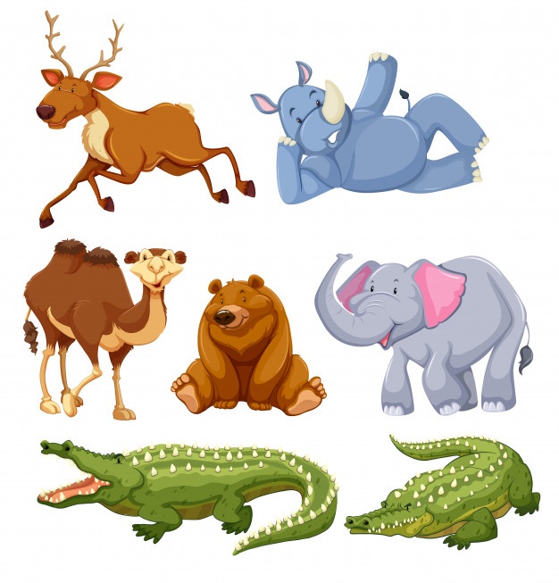 626x653 Alligator Vectors, Photos And Free Download