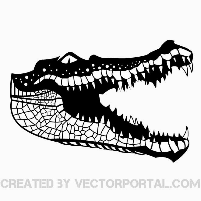 660x660 Alligator Vector Image Free Vector Images, Graphics And Art