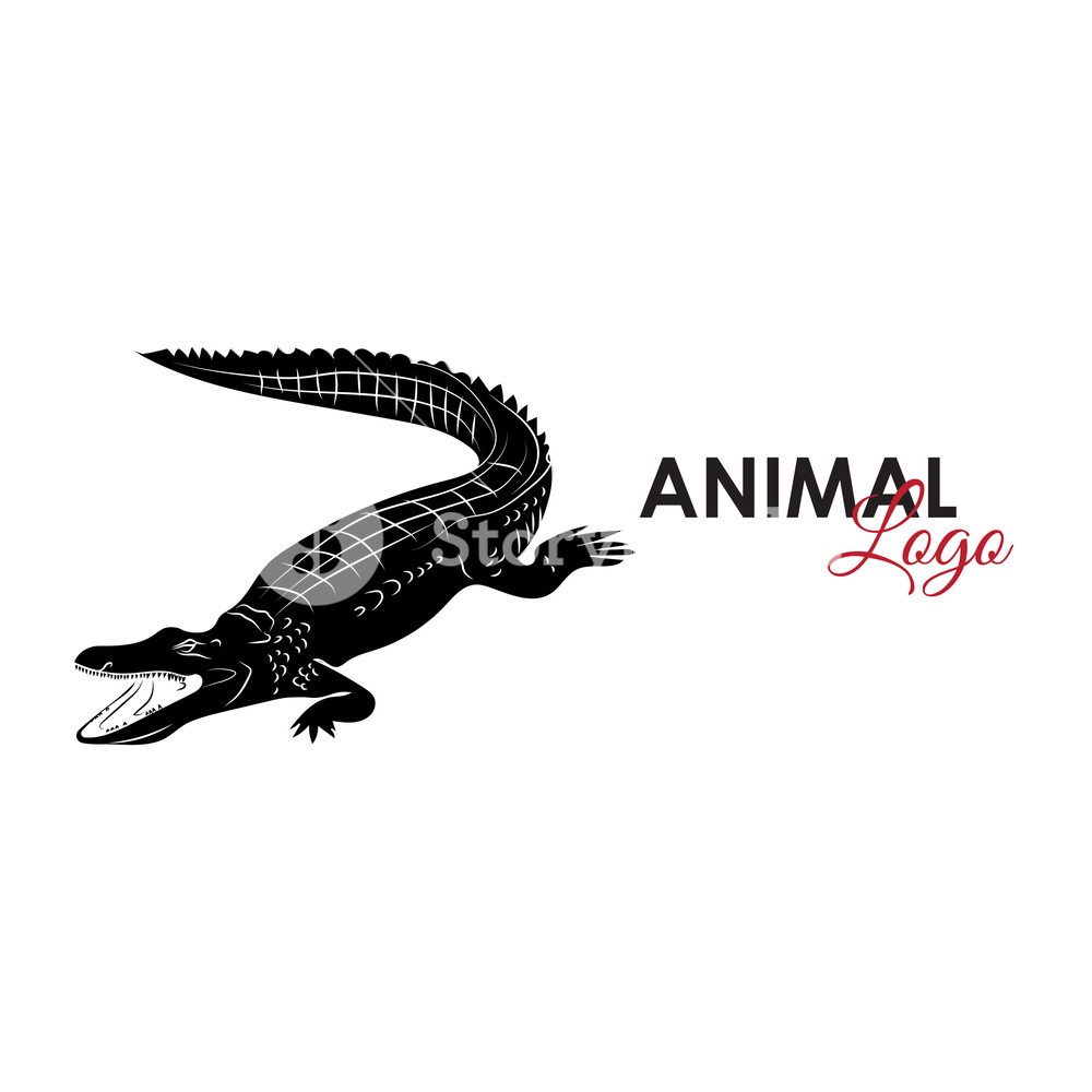 1000x1000 Crocodile Alligator Icon Logo Symbol Vector Illustration Royalty