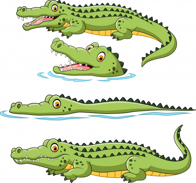 Alligator Vector at Vectorified.com | Collection of Alligator Vector ...