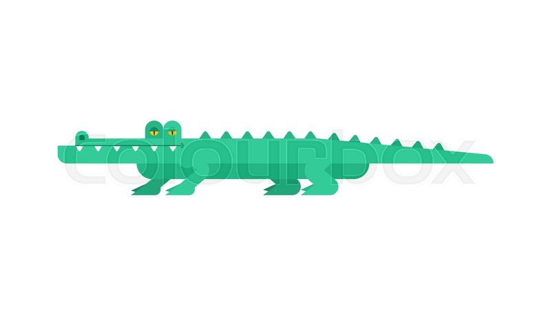 800x459 Crocodile Cartoon Alligator Green Stock Vector Colourbox