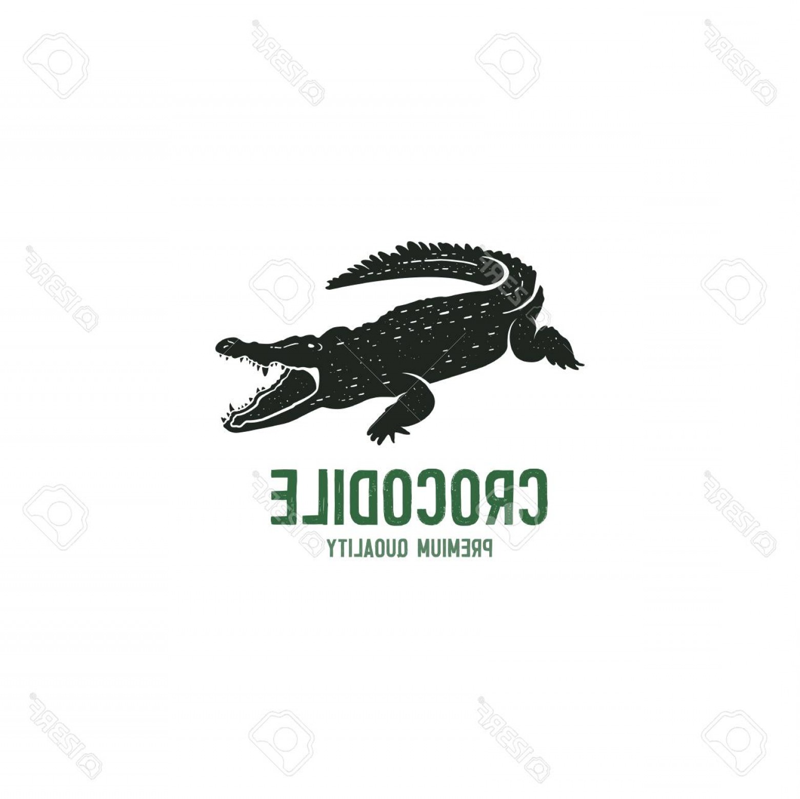 1560x1558 Photostock Vector Crocodile Logo Template Symbol Of Alligator