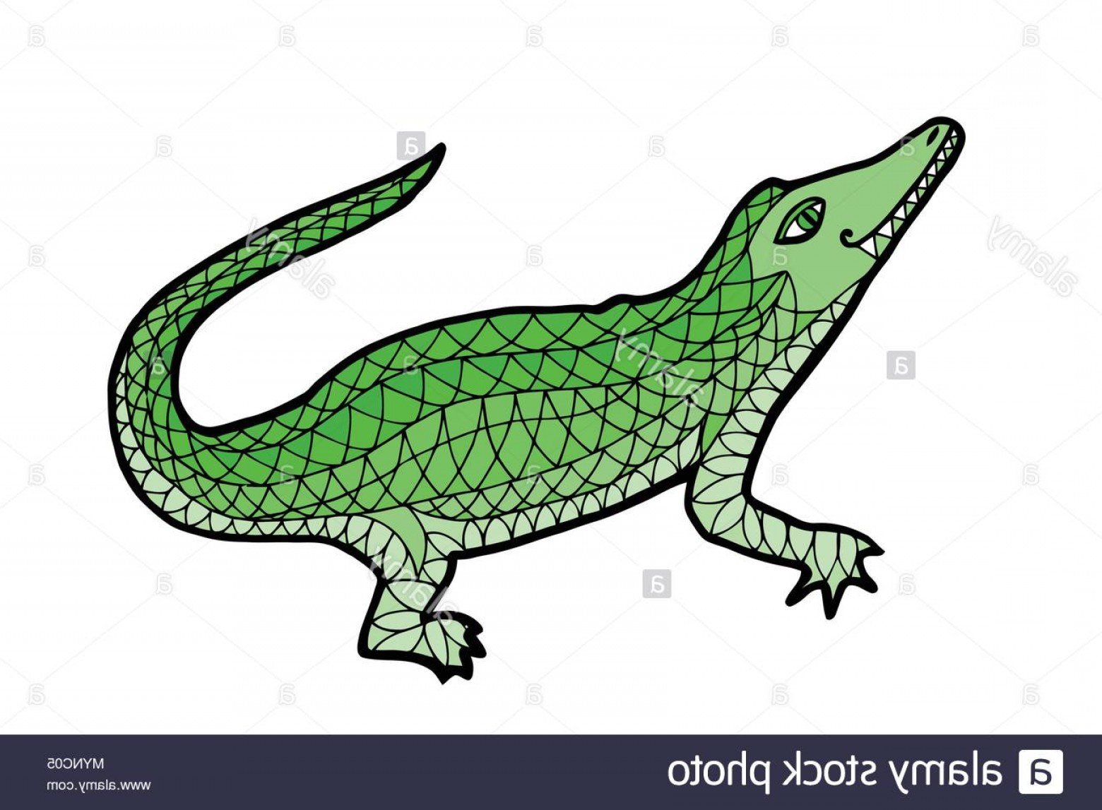 1560x1147 Alligator Vector Art Catchsplace