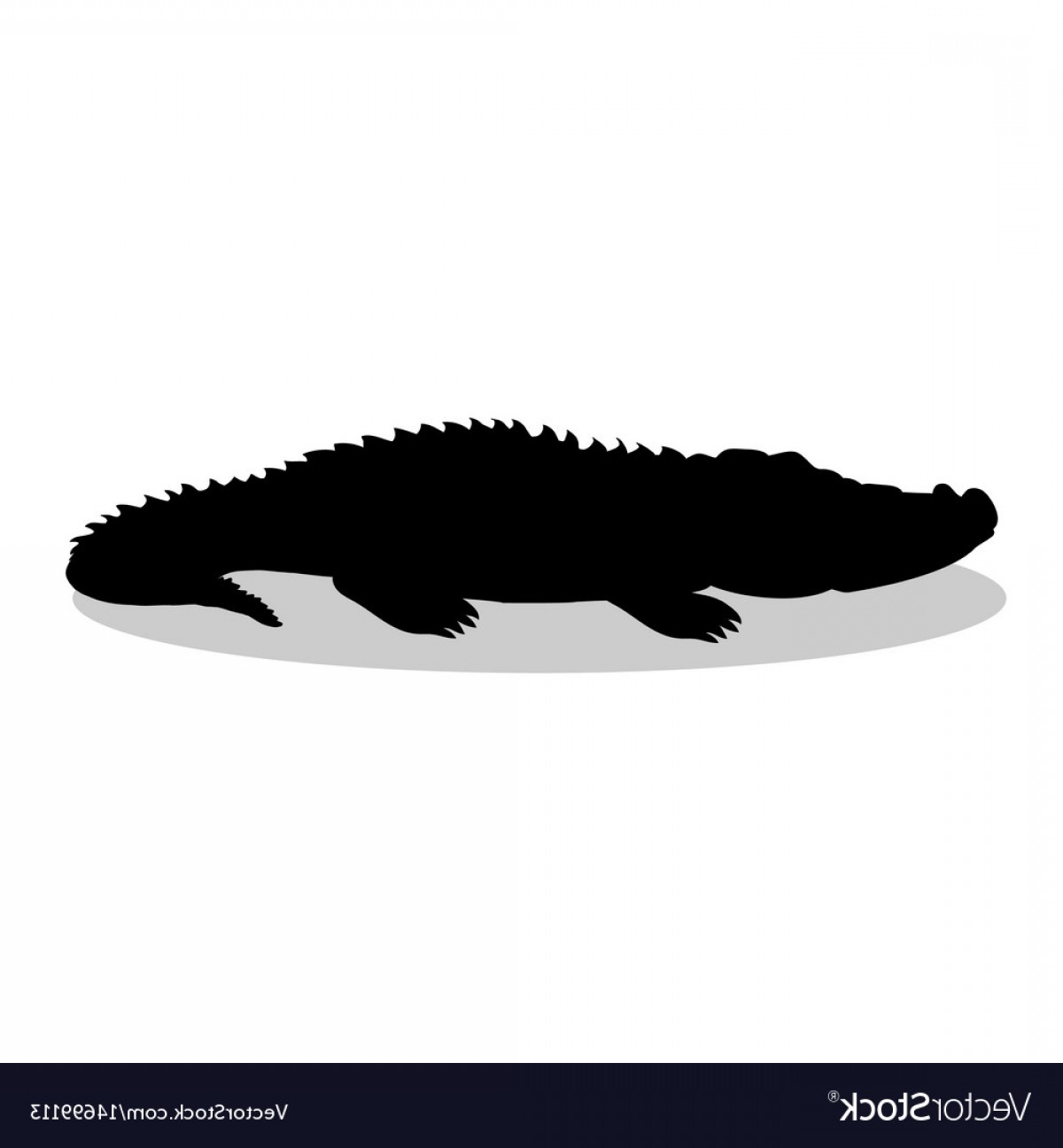 1200x1296 Alligator Vector Black Catamart