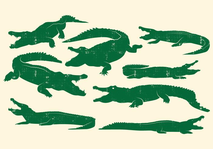 700x490 Crocodile Design Vector Set
