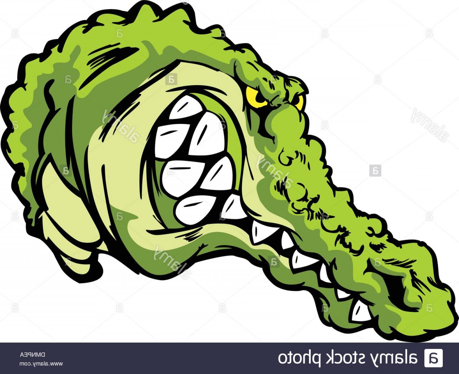 1560x1270 Crocodile Gator Or Alligator Vector Cartoon Mascot Image Catchsplace
