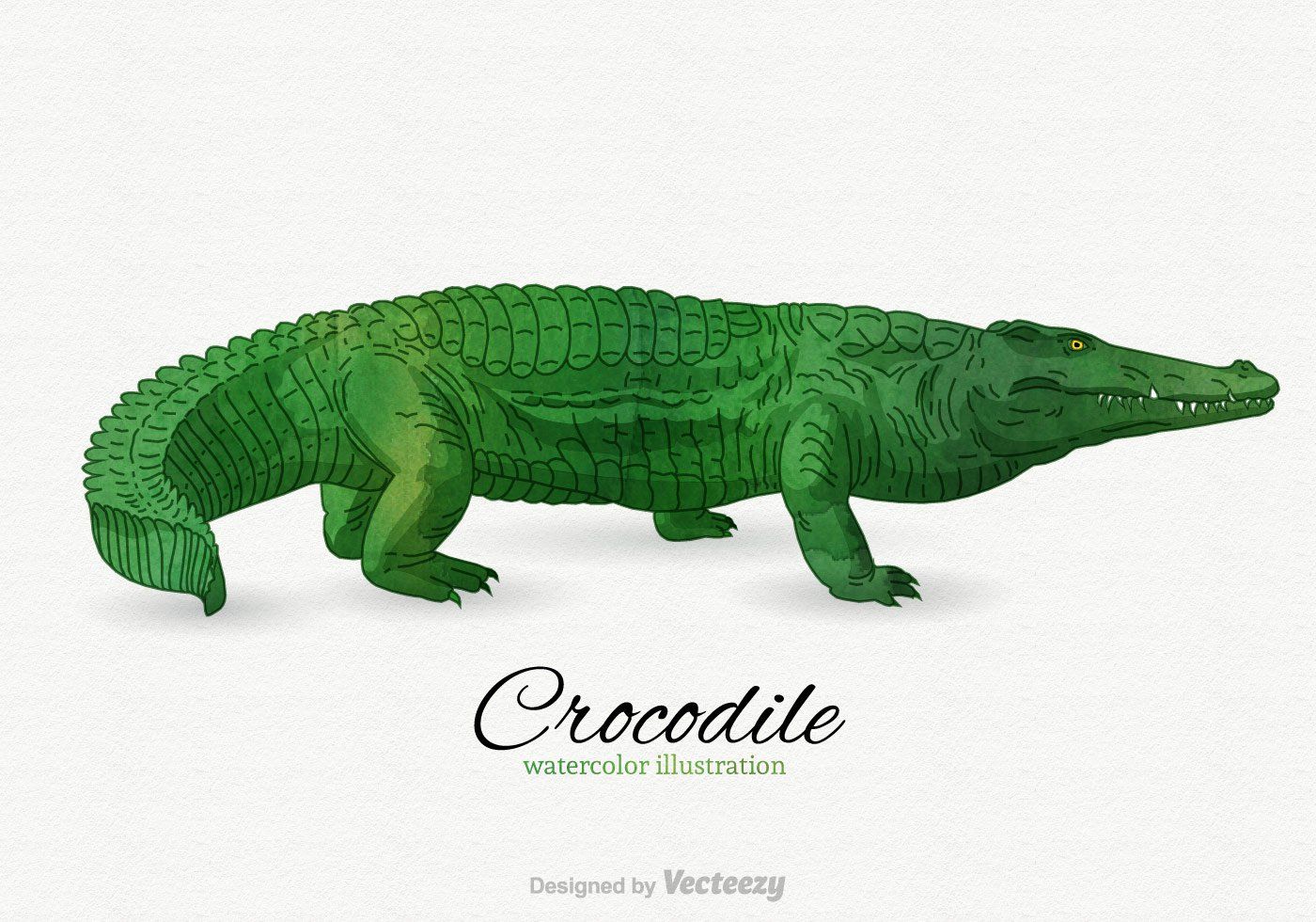 1400x980 Free Crocodile Vector Illustration Hand Drawn Crocodile