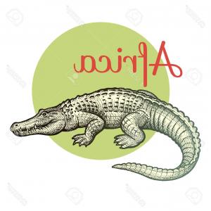 300x300 Photostock Vector African Animals Crocodile Illustration Vector