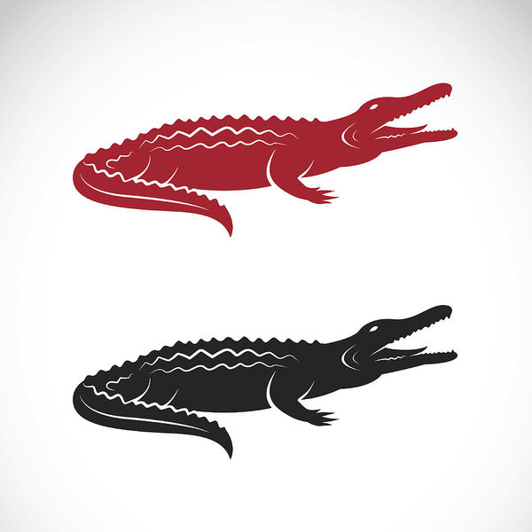 600x600 Vector Image Of An Crocodile Design Art Print