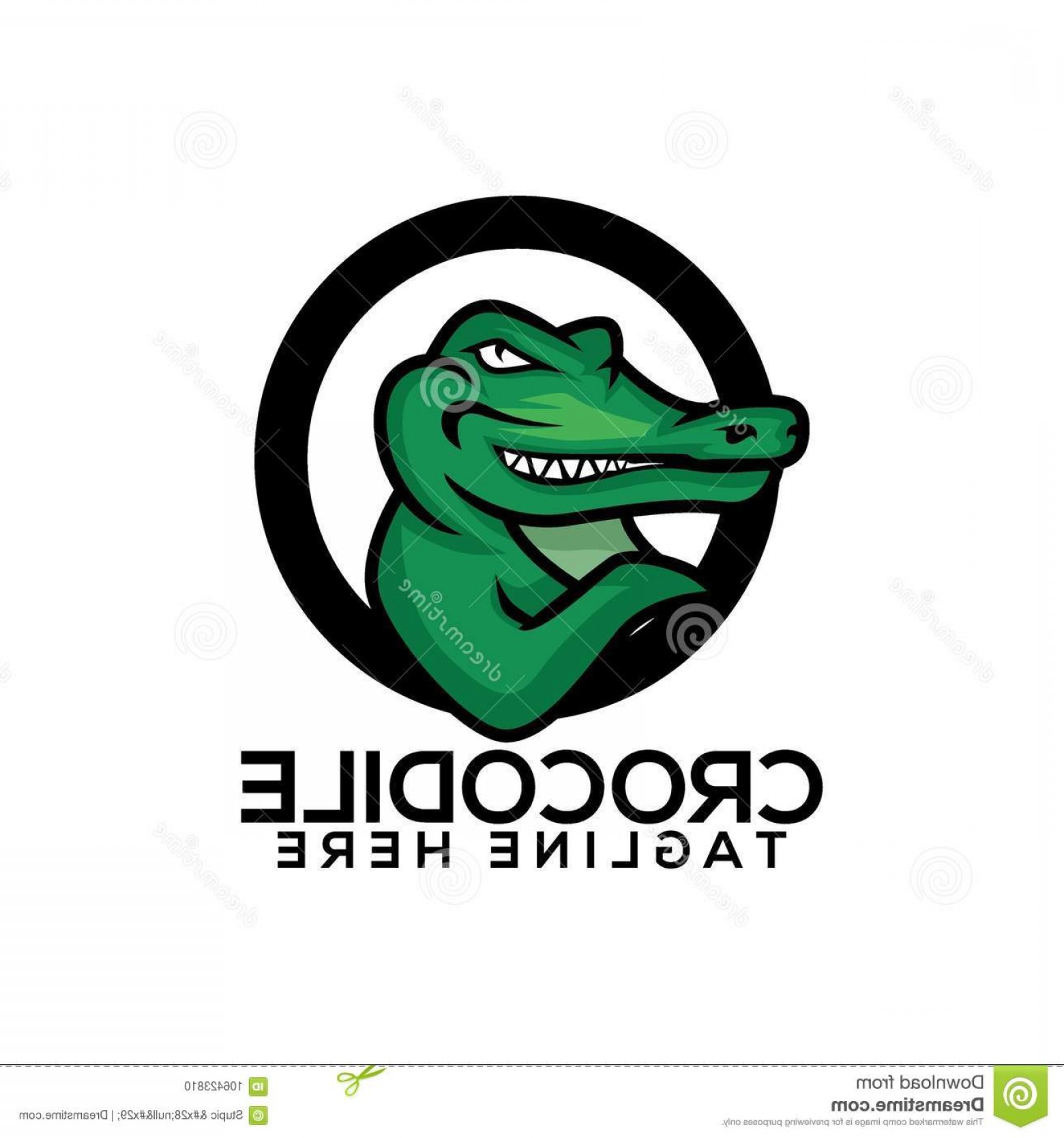 1560x1668 Alligator Vector Art Catchsplace
