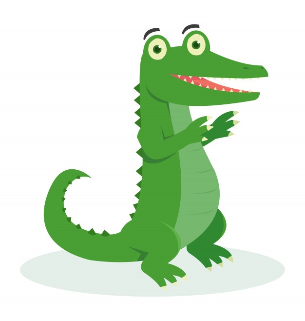 626x658 Alligator Vectors, Photos And Free Download