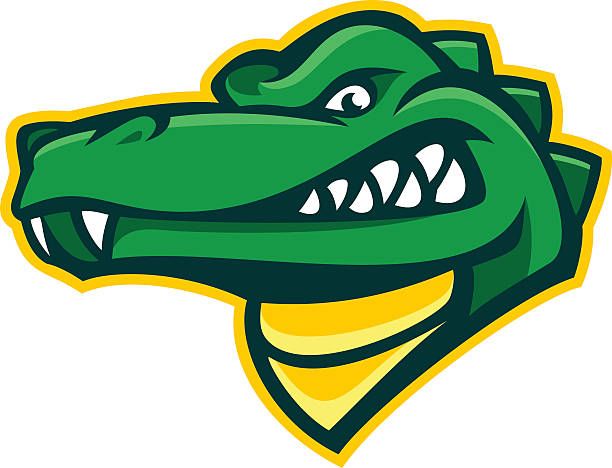 612x468 Alligator Design Element That Is A Great Mascot For A Sports Team
