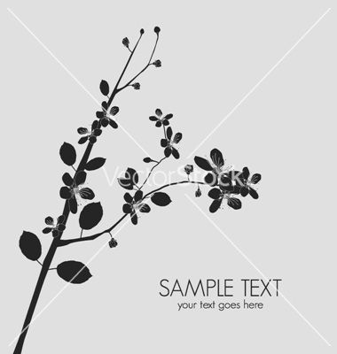 Almond Card Vector Design Ideas Vector Free, Almond, Design 380x400 Almond Card Vector Design Ideas Vector Free, Almond, Design