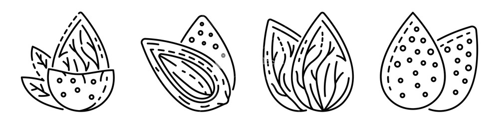 Almond Icon Set Outline Set Of Almond Vector Icons For Web Design 1000x250 Almond Icon Set Outline Set Of Almond Vector Icons For Web Design