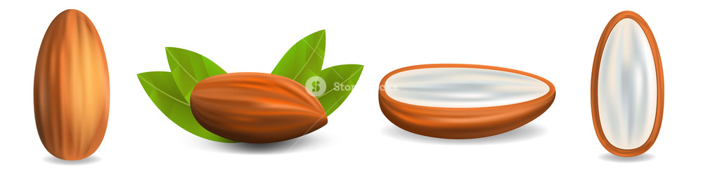 Almond Icon Set Realistic Set Of Almond Vector Icons For Web 1000x250 Almond Icon Set Realistic Set Of Almond Vector Icons For Web