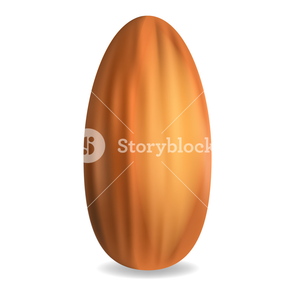 Almond Icon Realistic Illustration Of Almond Vector Icon For Web 1000x1000 Almond Icon Realistic Illustration Of Almond Vector Icon For Web