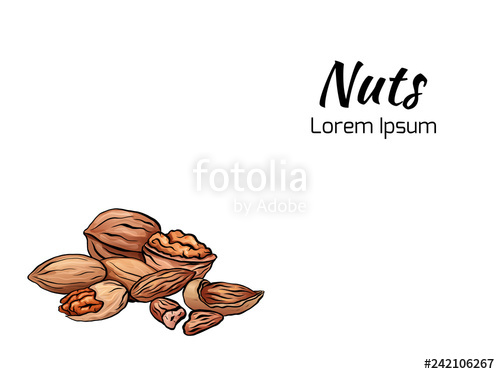 Banner With Illustration Of Colored Cartoon Nuts And Place 500x374 Banner With Illustration Of Colored Cartoon Nuts And Place
