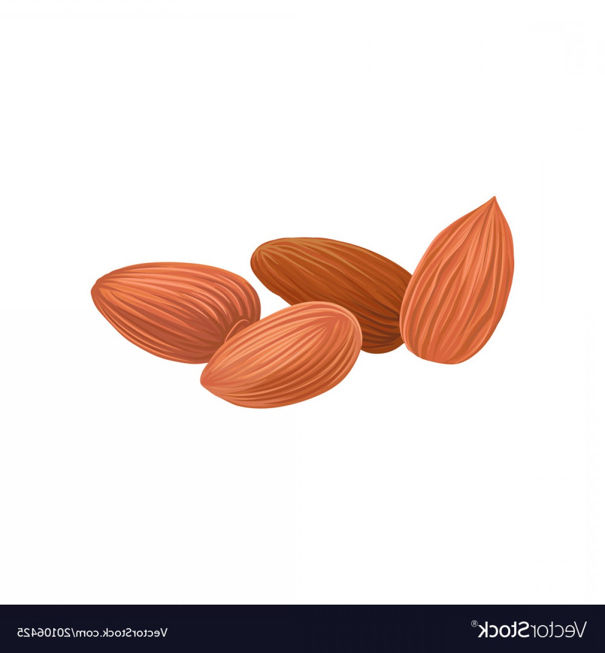 1200x1296 Cartoon Icon Of Dried Almond Nuts In Brown Shell Vector Soidergi