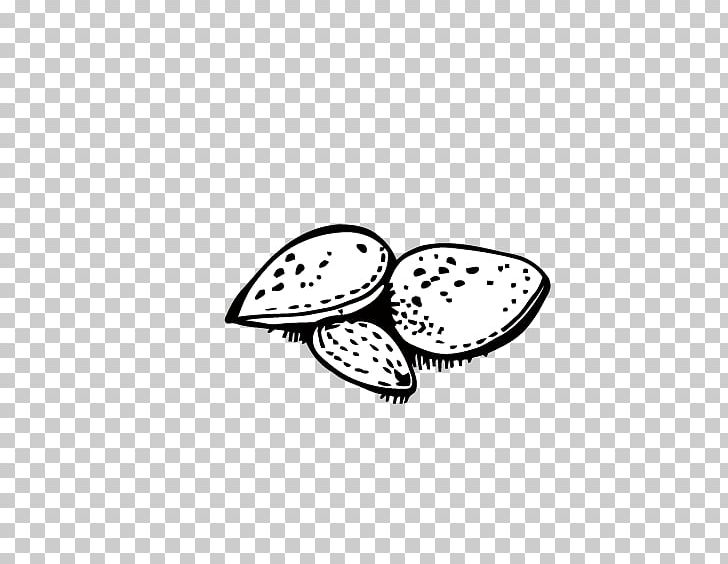 Dried Fruit Apricot Kernel Walnut Png, Clipart, Almond Vector 728x564 Dried Fruit Apricot Kernel Walnut Png, Clipart, Almond Vector