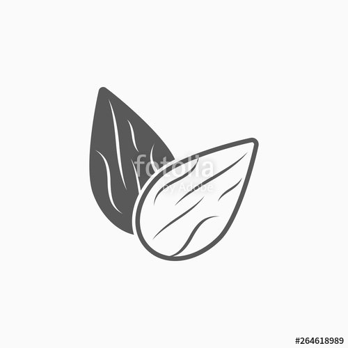 Almond Icon, Almond Vector Stock Image And Royalty Free Vector 500x500 Almond Icon, Almond Vector Stock Image And Royalty Free Vector