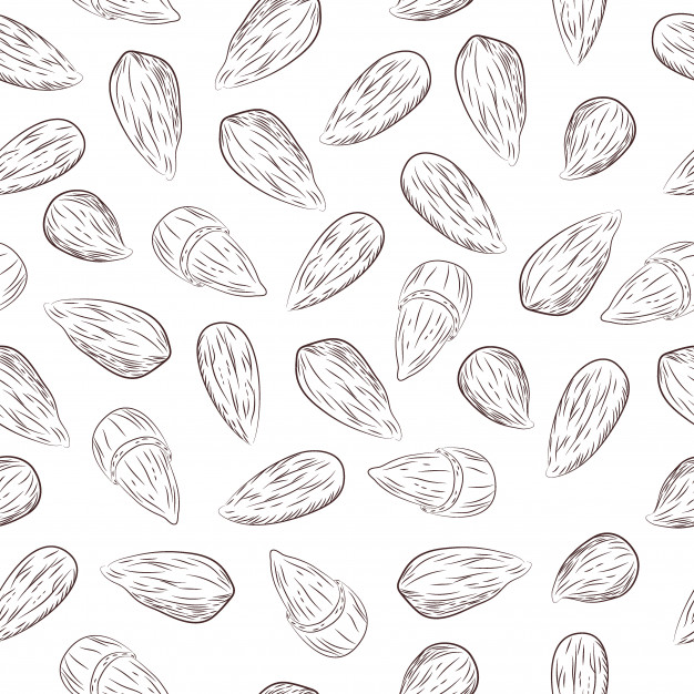 Almond Tree Vectors, Photos And Free Download 626x626 Almond Tree Vectors, Photos And Free Download