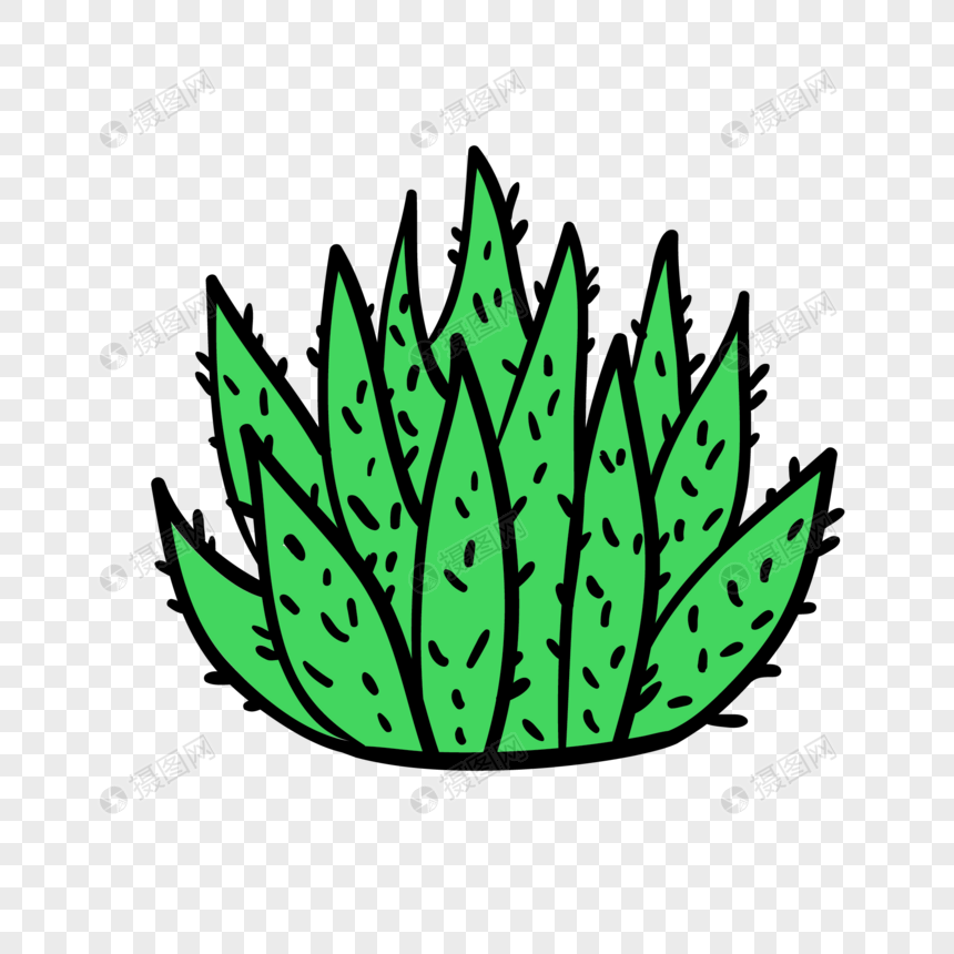 860x860 Green Aloe Vera Vector Png Image Picture Free Download