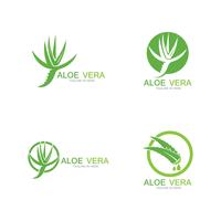 200x200 Aloe Vera Plant Free Vector Art