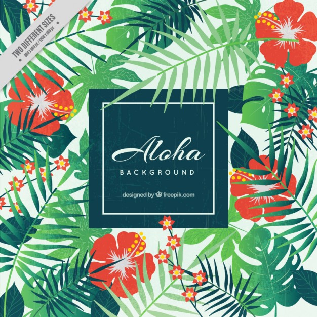 626x626 Aloha Background, Floral Style Vector Free Download