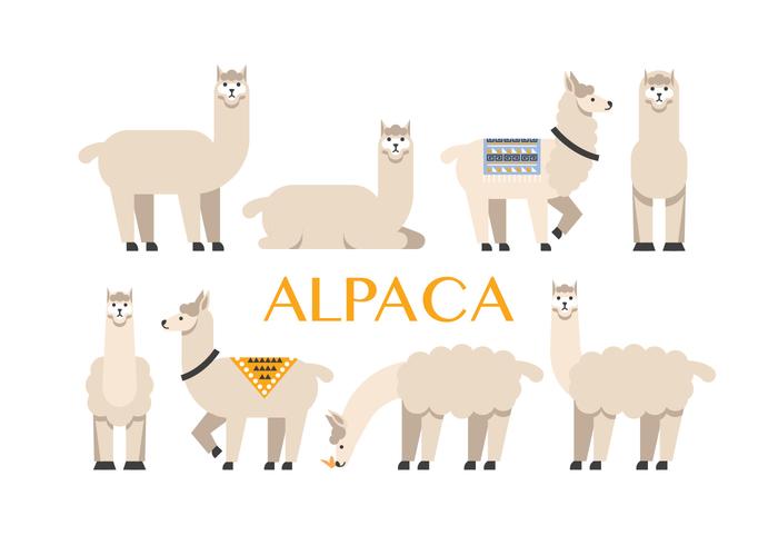 Alpaca Vector Icons 700x490 Alpaca Vector Icons
